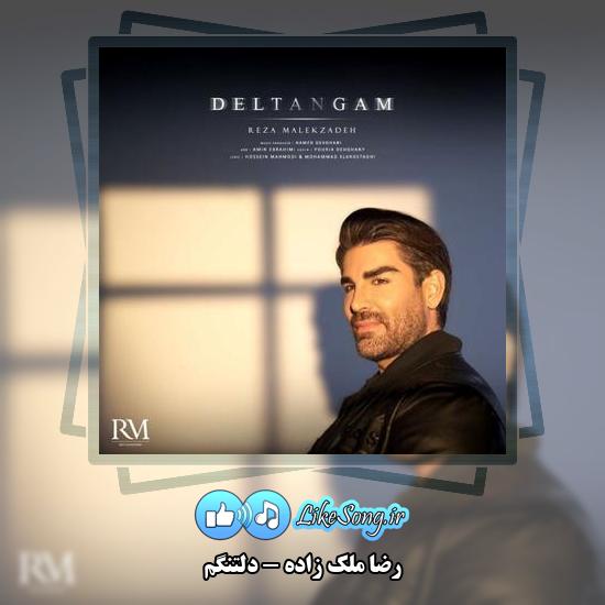 دانلود آهنگ رضا ملک زاده دلتنگم